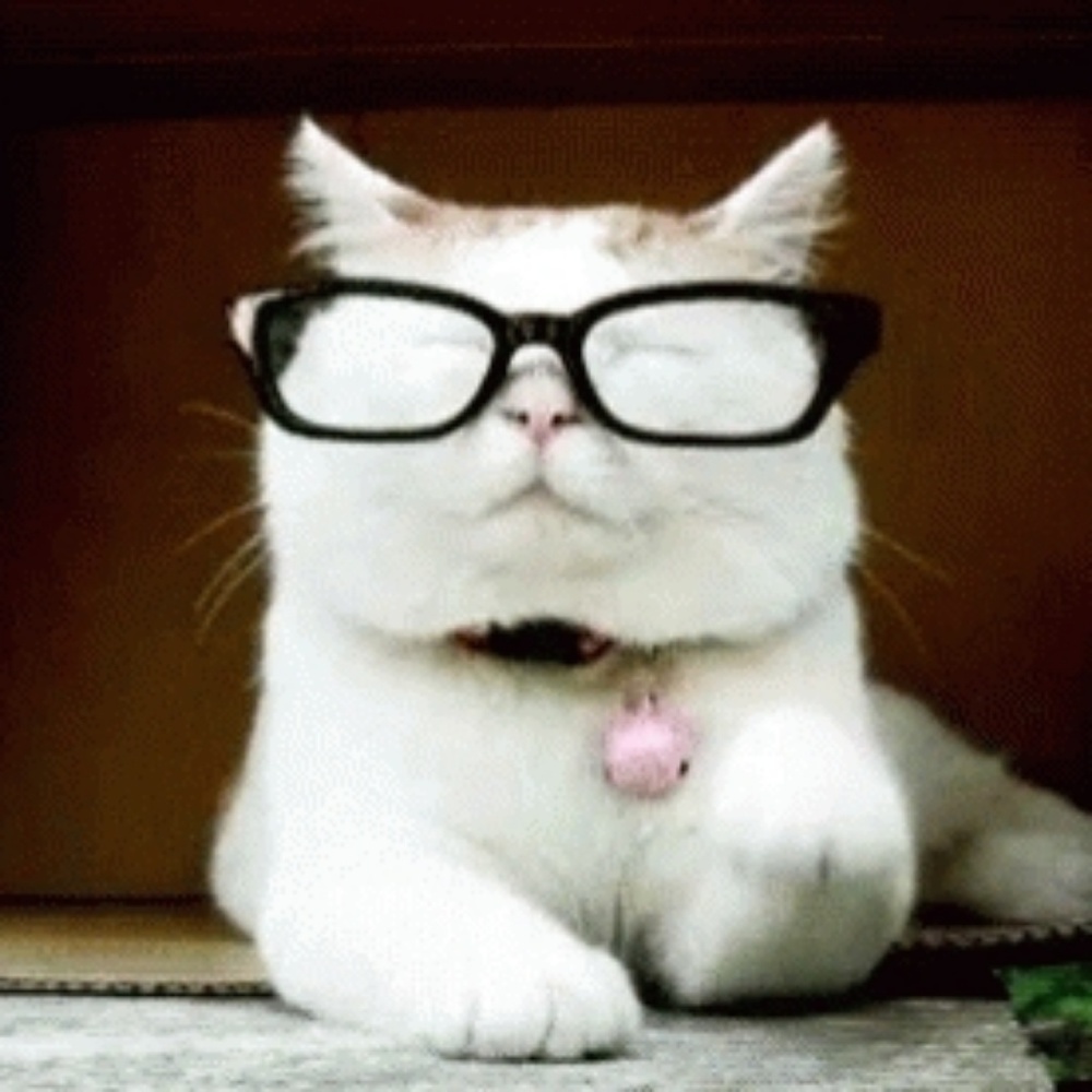 Meet your Posher, Malorie